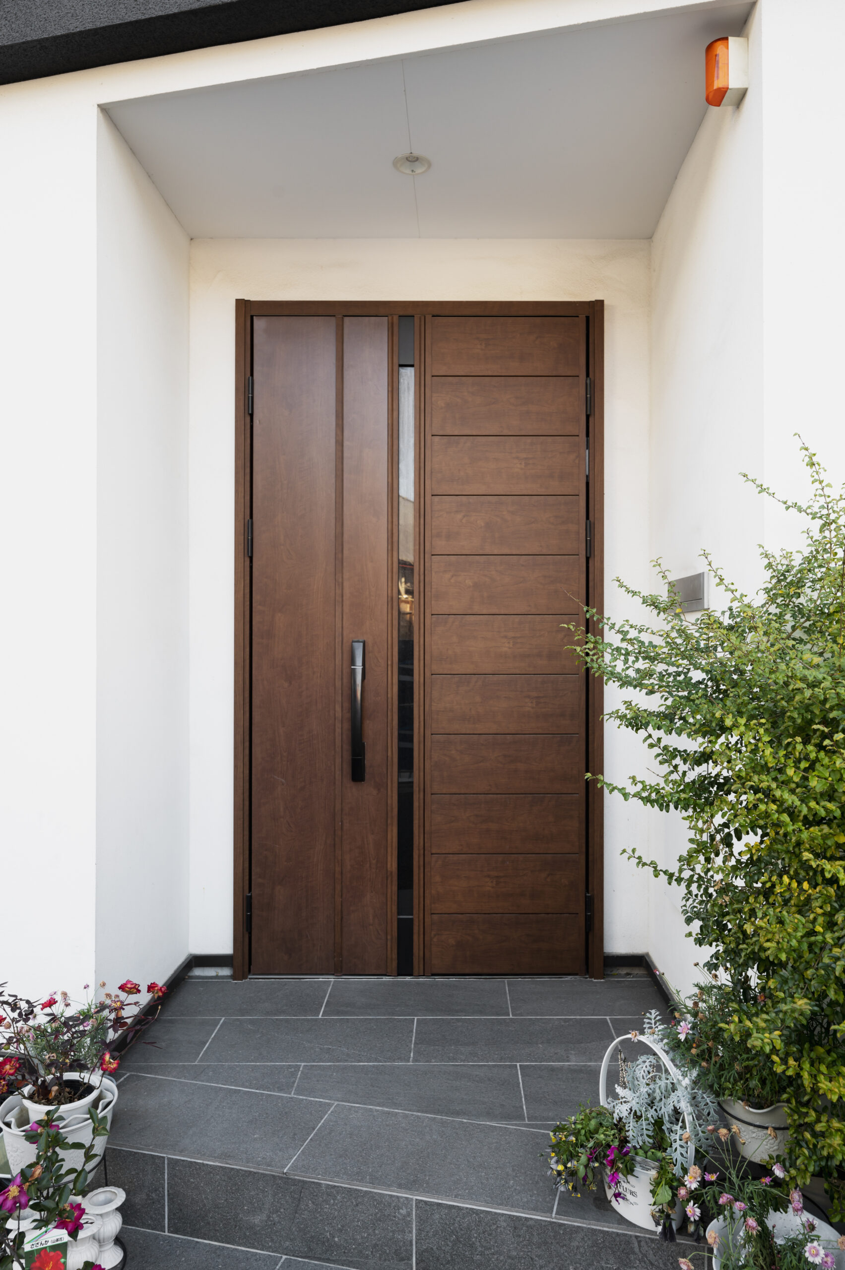 portone ingresso renov house